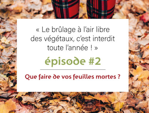 Le brûlage c’est interdit : épisode #2