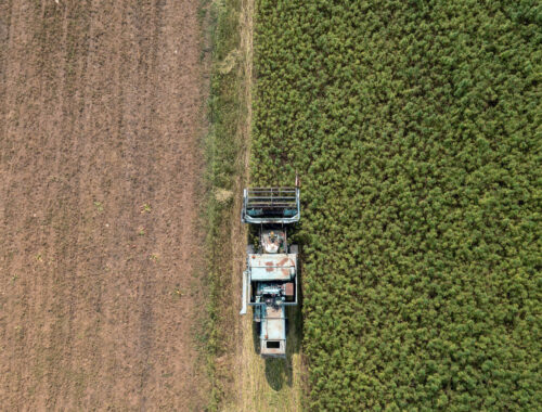 La soirée de l’agriculture aura lieu le jeudi 14 novembre 2024