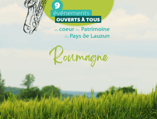 Roumagne s’enflamme : 2 jours de fête, de disco et de sport ! 